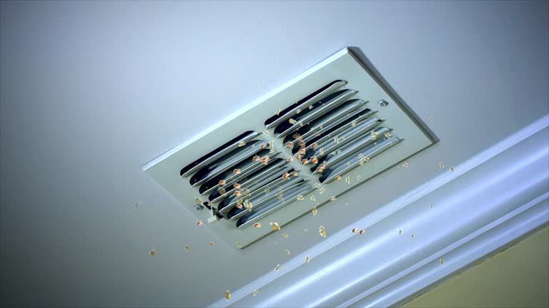 Best Affordable Duct Cleaning Services  in Dover, NH